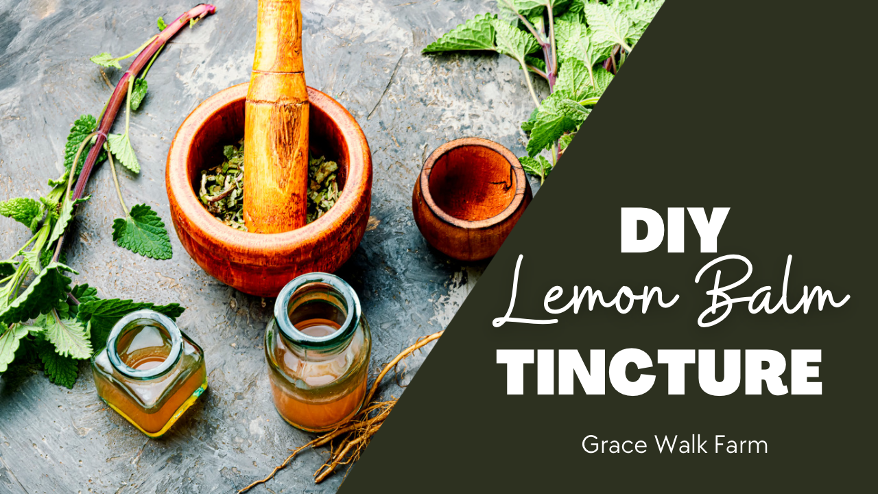 How to Make a Lemon Balm Tincture