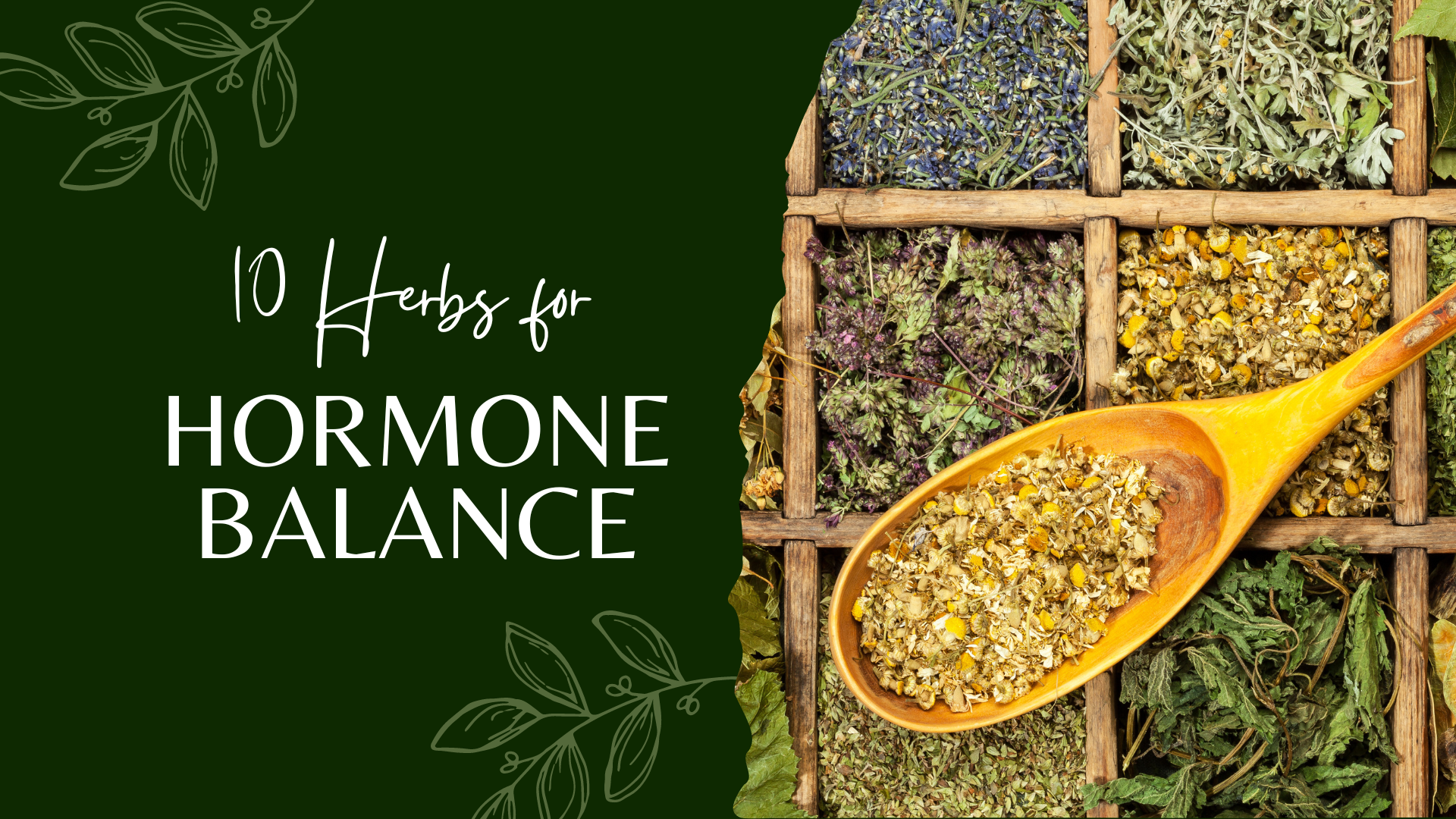10 herbs for hormone balance