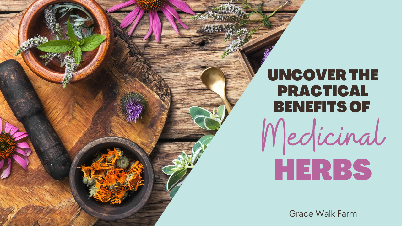 Uncover the Practical Benefits of Medicinal Herbs