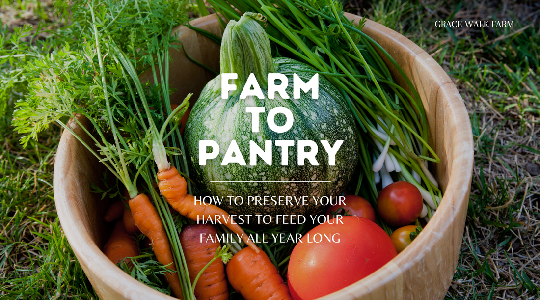 From Farm to Pantry: Easy Homegrown Vegetable Preservation
