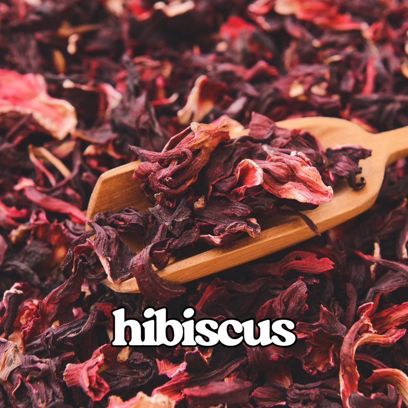 Hibiscus