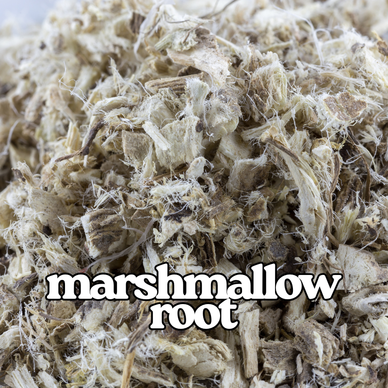 Marshmallow Root